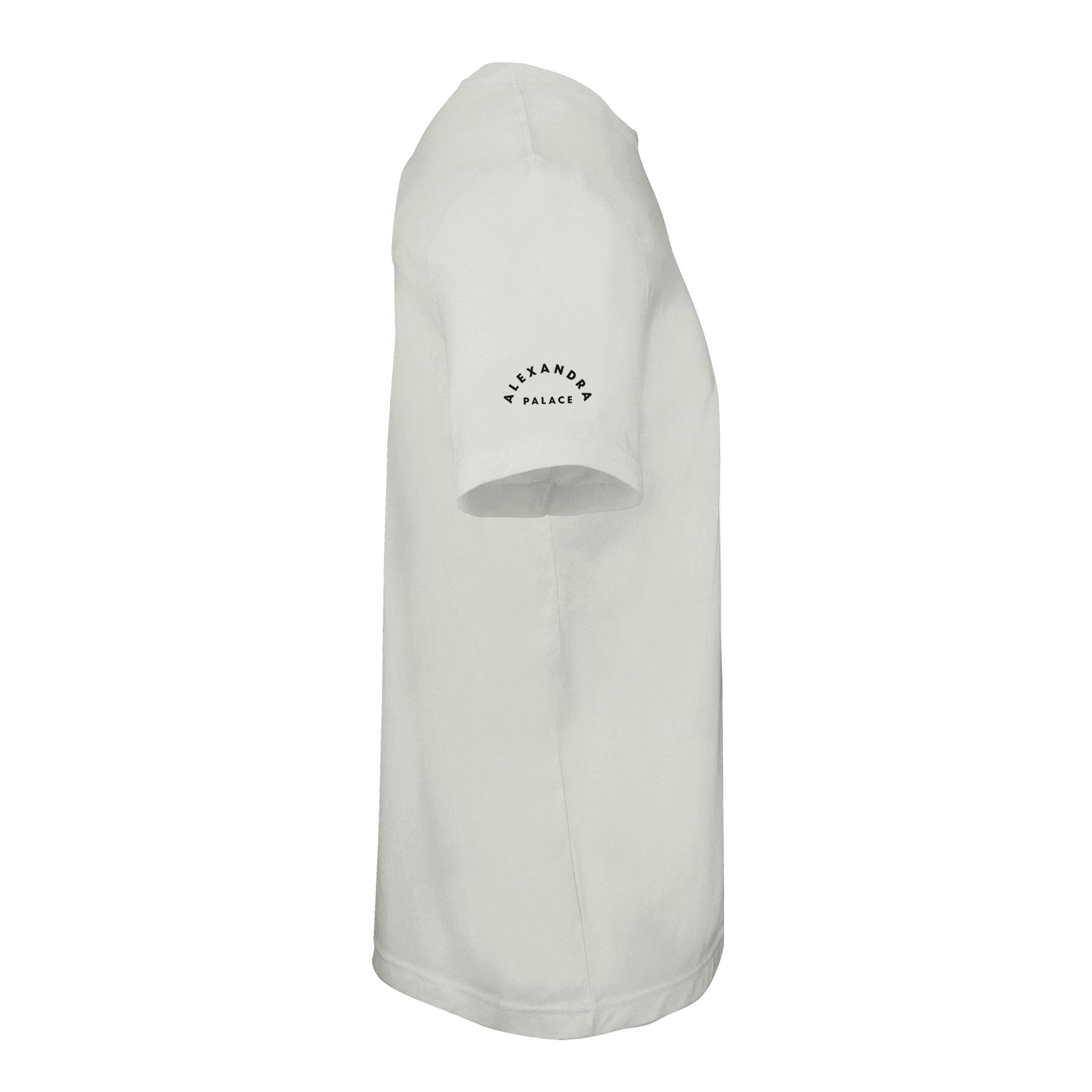 Side view of the Haringey Greyhounds Unisex White T-Shirt by Haringey Huskies Store, made from high-quality cotton, featuring ALEXANDRA PALACE in small black curved letters on the upper sleeve. White background.